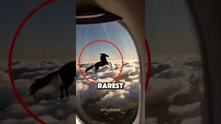 The rarest sky phenomenon that happens once in a lifetime 