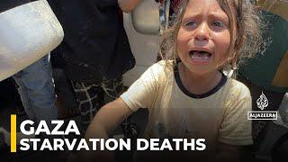 Starvation-related deaths: At least 29 Palestinians including children have died in Gaza