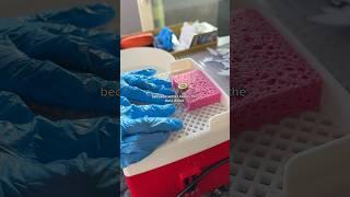 Stained Glass Grinding 101  How to Make Stained Glass