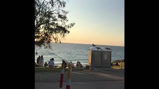 Австралия. Перт.Где я живу. Australia.Perth.cottesloe Swan River