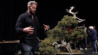 Ryan Neil Bonsai Demonstration (Trophy 2025)