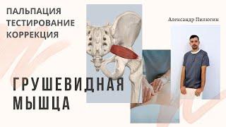 Грушевидная мышца. Пальпация, тестирование, коррекция. Прикладная кинезиология.