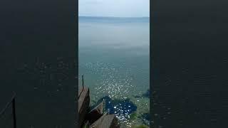 Утренний пляж Восход. Одесса. Совиньон. #море #лето #odessa #travel #ukraine #sea #summer #shorts
