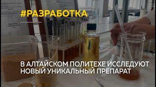 "Грибы будущего". В алтайском Политехе исследуют новый уникальный препарат