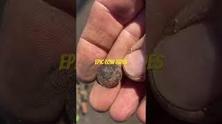 Epic low tides Minelab metal detectors