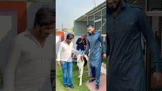Bakra Eid Aur Bhaiyoo Me Ladai #bakraeid #emotionalstory #arhussain #youtubetrending