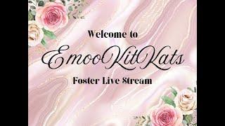 EmooKitKat's Foster Friends