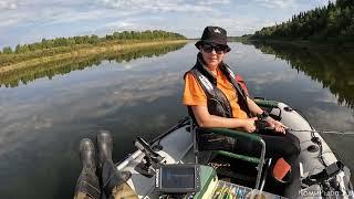 Такого уровня воды в Вычегде я еще не видел. Нет воды - нет и рыбы.  Неудачный троллинг щуки