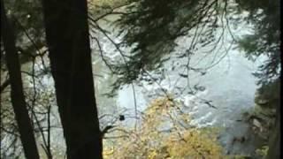 How Great Thou Art BUDDY DAVIS Music Video