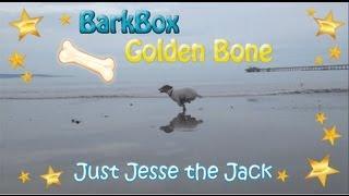 BarkBox Golden Bone Just Jesse the Jack