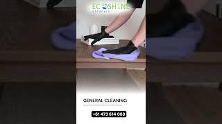 Professional Cleaning services - Eco Shine Cleaners