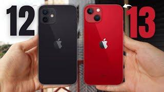 iPHONE 12 vs. iPHONE 13 in 2025 || WHICH ONE TO BUY?