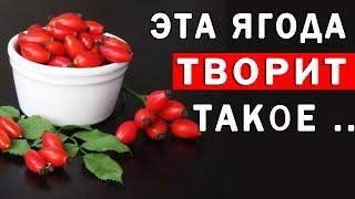 Что Творит Шиповник с Организмом – Польза и Вред Шиповника | Полезные Советы для Жизни