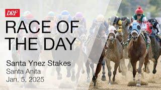 DRF Sunday Race of the Day | Santa Ynez Stakes Preview | January 5, 2025