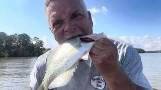 Lake Turnover Slabs?!? - Crappie Fishing