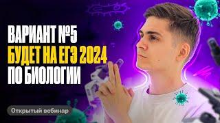 ОН БУДЕТ НА ЕГЭ по биологии! Разбираем 29 вариант из сборника Рохлова 2024 | Марк Ламарк