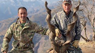 Complete hunting Bukharan Markhor in Tajikistan by#saiditagnob