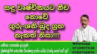 සඳු වෘෂ්චිකයට නීච නොවේ | ගුරු ,ශනි, බුද ග්‍රහ නැකත් නිසා!!!