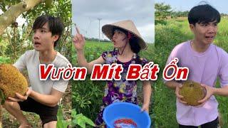 Vườn Mít Bất Ổn ( Phần 1 + 2 ) : Tiktok Hài Ngắn | Văn Điệp TV