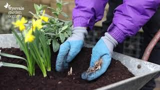 April project of the month:  Create a wildlife wheelbarrow garden