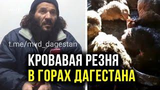 Житель Дагестана устроил кровавую резню в сарае