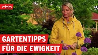 Tipps & Tricks für Deinen Garten | 20 Jahre Gartenzeit