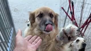 In a few Months We All Will Have a Better Life Here! - Takis Shelter