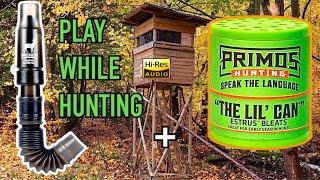 Sound Only: Primos Trophy Grunter + The “Lil” Can Estrus Doe Bleat (Play While Hunting)