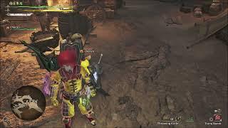 MH Wild   what this shield means