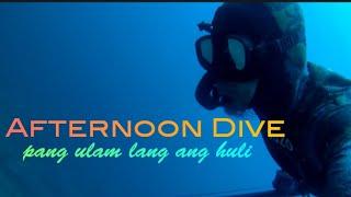 Spearfishing Sibuyan Island: Season 2; Unicorns, Trevallies, Squid: SilentHunter Bogoi (SB69)