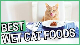 Best Wet Cat Food | 5 Best Canned Cat Foods 2021  