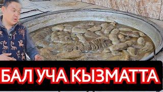 БАЛ УЧА ИШИН БАШТАДЫ ЭЛГЕ КЫЗМАТ КЫЛАТ