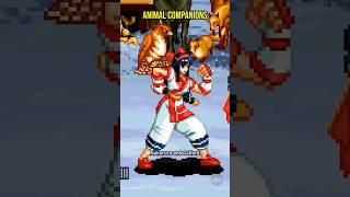 Animal companions in fighting games