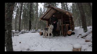 Промысловая охота на куницу! Куница ушла с капканом! Обход путика...