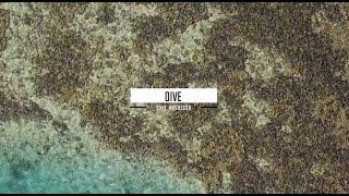 Dive Sahl Hasheesh