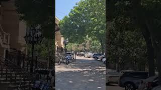 Summer 2025 #shorts #shortvideo #summer #2025 #vibes #asmr #asmrsounds #nature