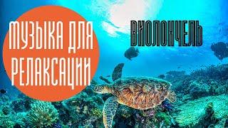 РЕЛАКСАЦИЯ 4K / МУЗЫКА для снятия усталости /ВИОЛОНЧЕЛЬ