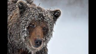 Photographing the Canadian Arctic with Michelle Valberg