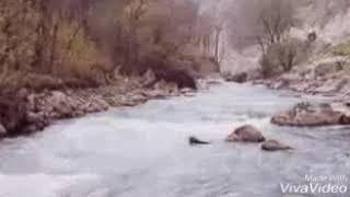 Элчано йийцина х1ара т1аьхьар зама