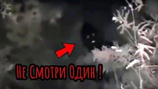 САМЫЕ СТРАШНЫЕ ВИДЕО В ЛЕСУ !