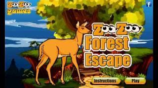 ZooZoo Forest Escape Walkthrough