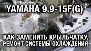 ️Замена крыльчатки на лодочном моторе YAMAHA 9.9-15F(G).Слабая контролька.Ремонт охлаждения.