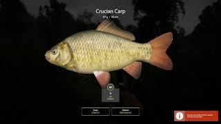 Russian Fishing 4 Leveling Guide w MDawg Episode 7 06-2021 Sneaky Tench