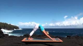 Vinyasa Flow Yoga Class for Beginners