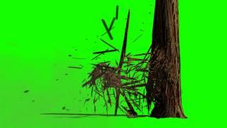 Green screen. Tree, wood destruction. Crush.