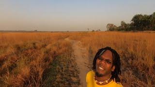 Walking In The Plains Of Africa