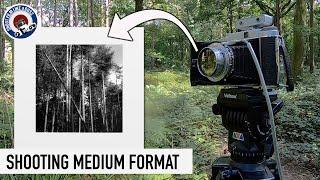 Medium Format Film Photography - 6X6 Woodland Negatives and Darkroom Prints