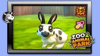 step by step how to breed to maximize increasing color variants levels - #zoo2animalparkonline