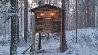 Bushcraft Camping at My Insulated and Warm Treehouse