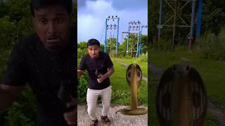Papa Vahan Niche Dekho Snake  hai  | mistihappylifestyle #shorts #viral #trending #ytshorts
